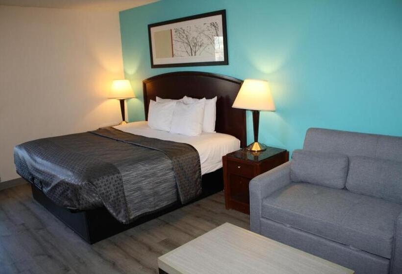 Quarto Estandar Cama King para Deficientes Físicos, Executive Inn And Suites Wichita Falls
