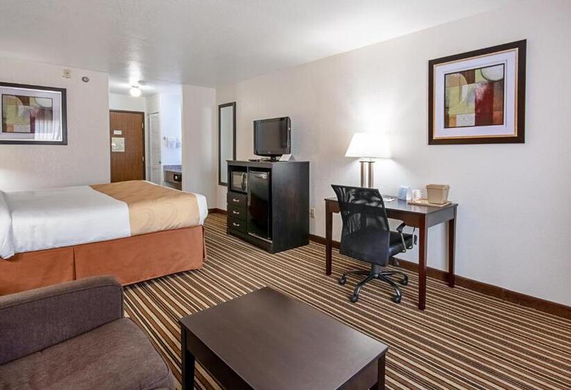 Стандартный Номер Кровать Кинг, Quality Inn