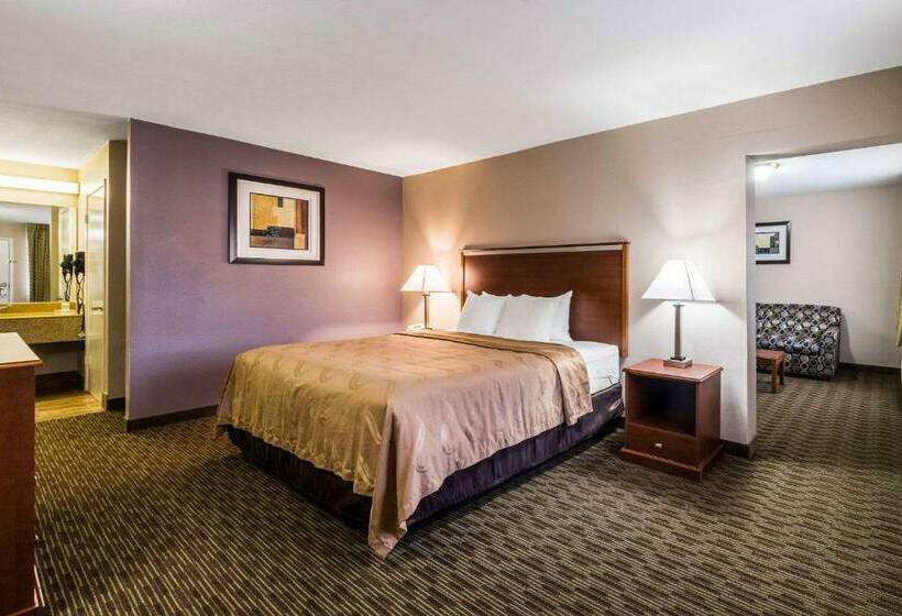 Стандартный Номер Кровать Кинг, Quality Inn University Near Downtown