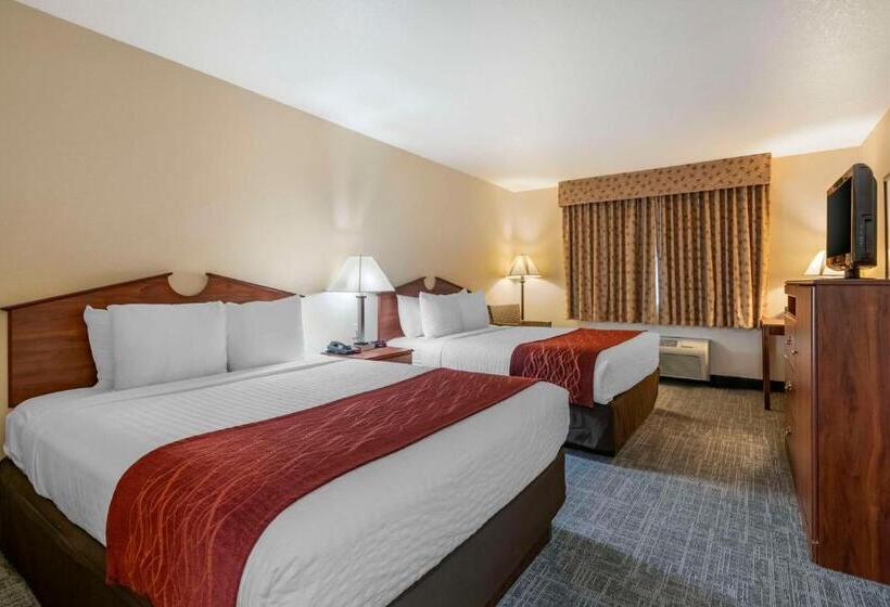 Номер Стандарт, Surestay Plus Hotel By Best Western Buffalo