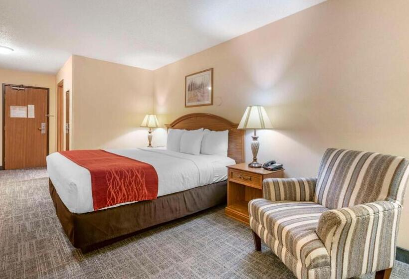 Стандартный Номер Кровать Кинг, Surestay Plus Hotel By Best Western Buffalo