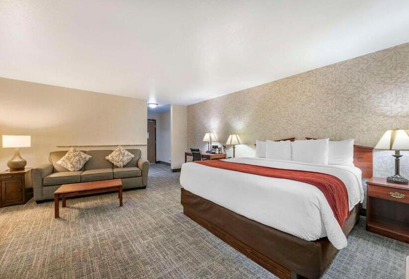 Стандартный Номер Кровать Кинг, Surestay Plus Hotel By Best Western Buffalo