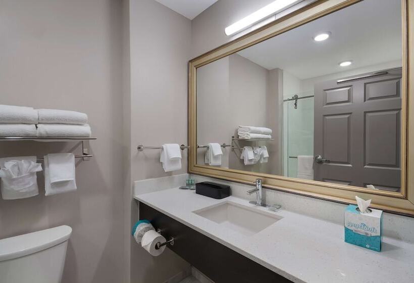 Suite, Spark By Hilton Destin