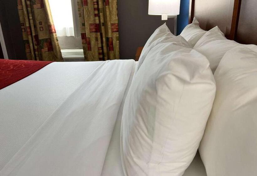 سوئیت با تخت بزرگ, Comfort Suites Louisville East