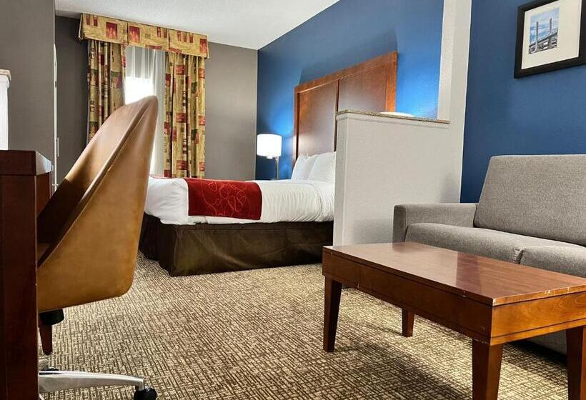 سوئیت با تخت بزرگ, Comfort Suites Louisville East