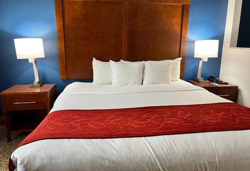 سوئیت با تخت بزرگ, Comfort Suites Louisville East