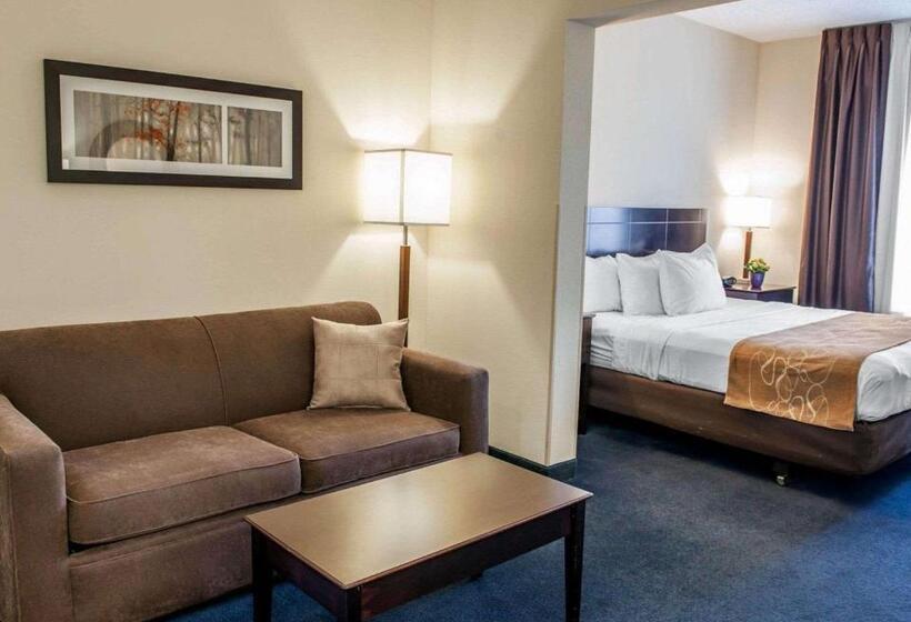 Suite Lit King, Comfort Suites Fort Wayne   Southwest