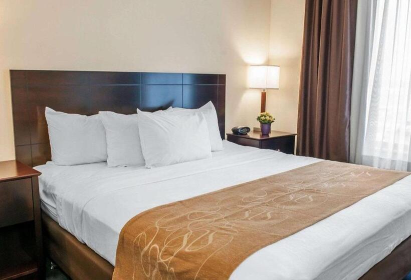 Suite Lit King, Comfort Suites Fort Wayne   Southwest