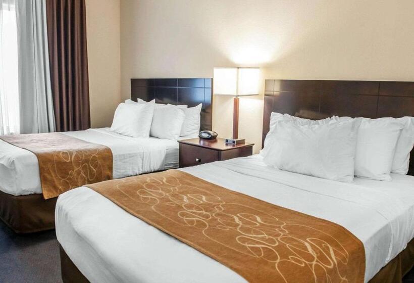 Suite, Comfort Suites Fort Wayne   Southwest