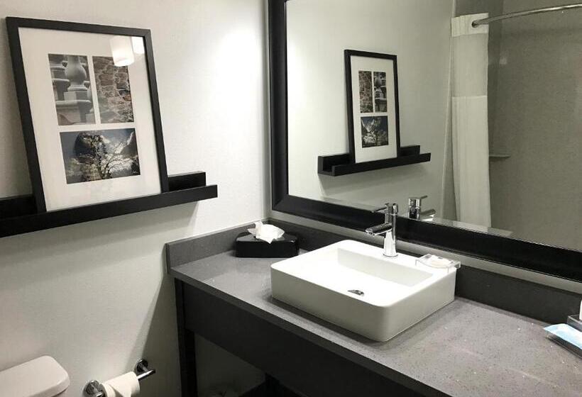 Люкс, Country Inn & Suites By Radisson, Dalton, Ga