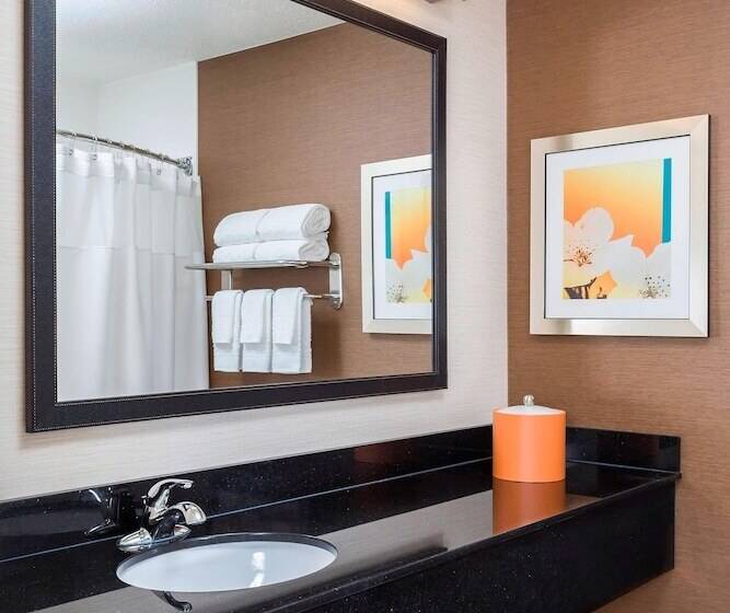 סוויטה אקזקיוטיב, Fairfield Inn & Suites Naperville/aurora