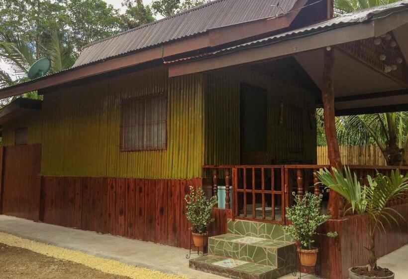 标准工作室, Pitaya Native Guest House