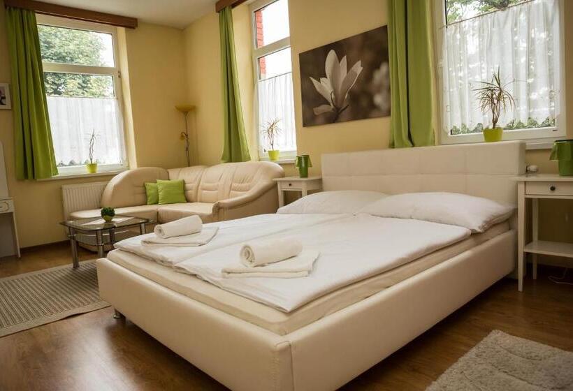 Номер Deluxe, Penzion Burra