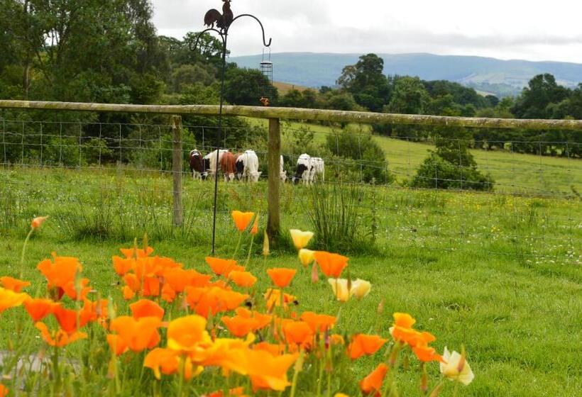 Люкс Superior, Smithfield Farm Bed & Breakfast