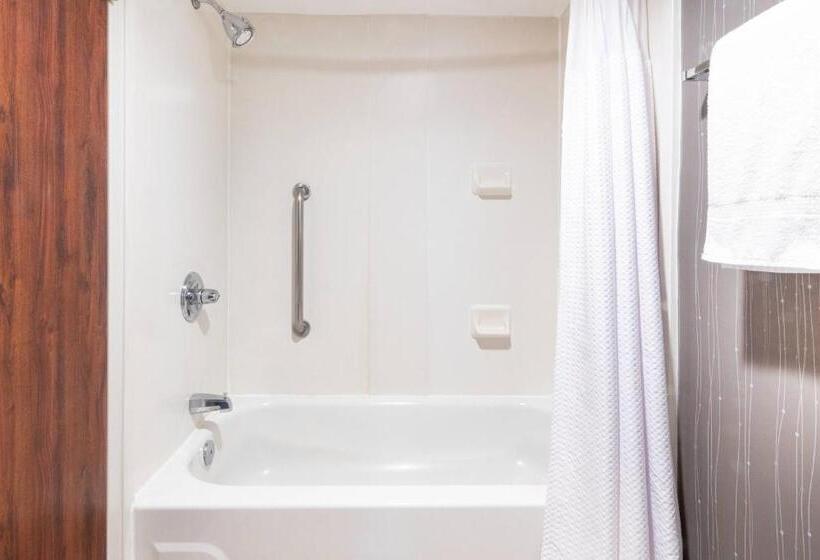 Quarto Standard 2 Camas Casal, Courtyard By Marriott Bloomington