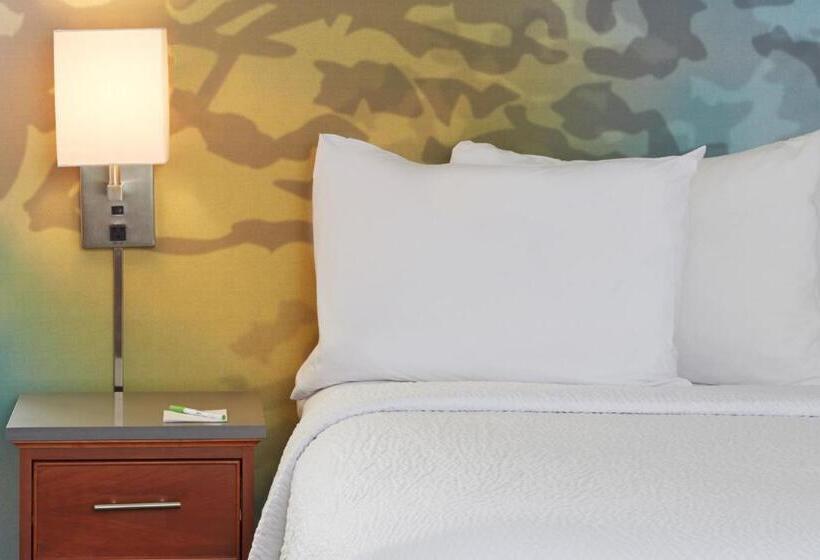 Номер Стандарт Кровать Кинг Адаптированный для Инвалидов, Courtyard By Marriott Bloomington Mall Of America