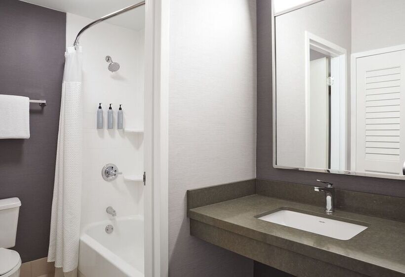 套房, Courtyard By Marriott St. Louis Downtown West