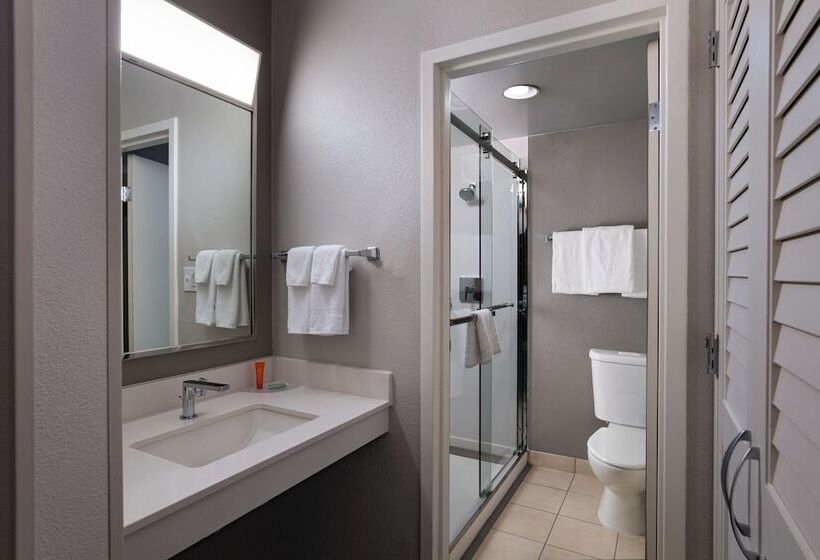 Suite, Courtyard By Marriott San Antonio Downtown