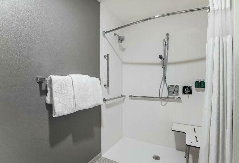חדר סטנדרט עם מיטת קינג, Courtyard Tampa Brandon