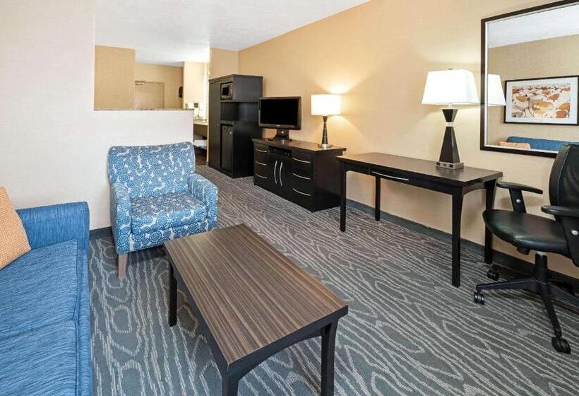 Номер Executive Кровать Кинг, La Quinta By Wyndham Logan