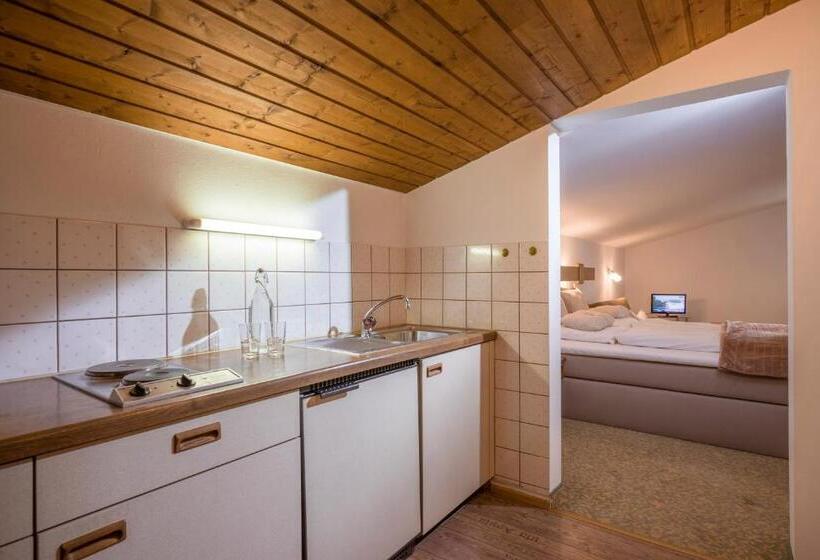 Апартаменты 1 Спальня, Haus Central