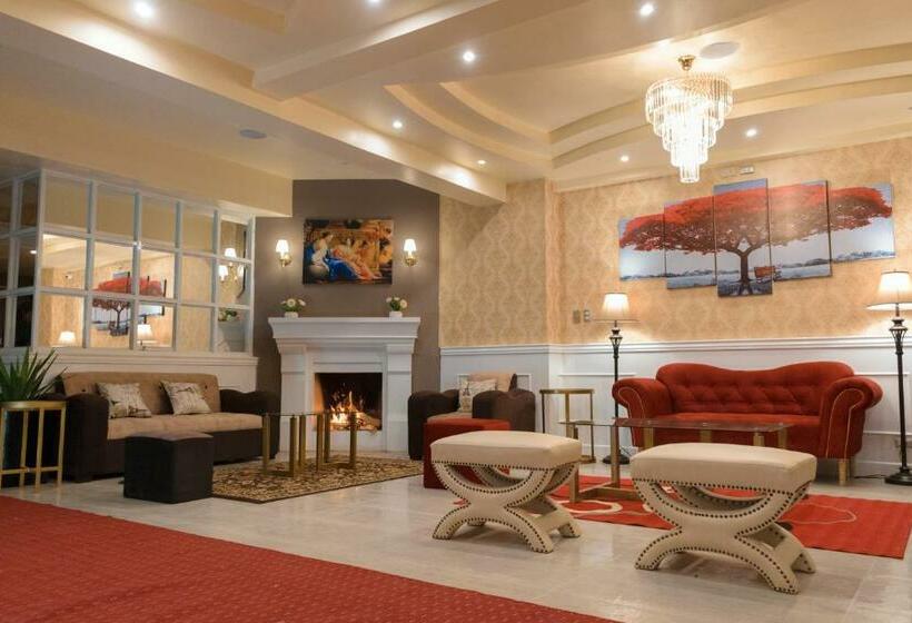 小型豪华套房, Paradis Suite Cusco