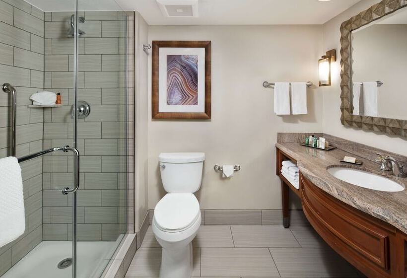 스탠다드 룸 더블 침대 2개, Hilton Sedona Resort At Bell Rock