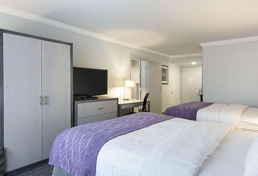 标准间, Comfort Inn Williamsburg Gateway