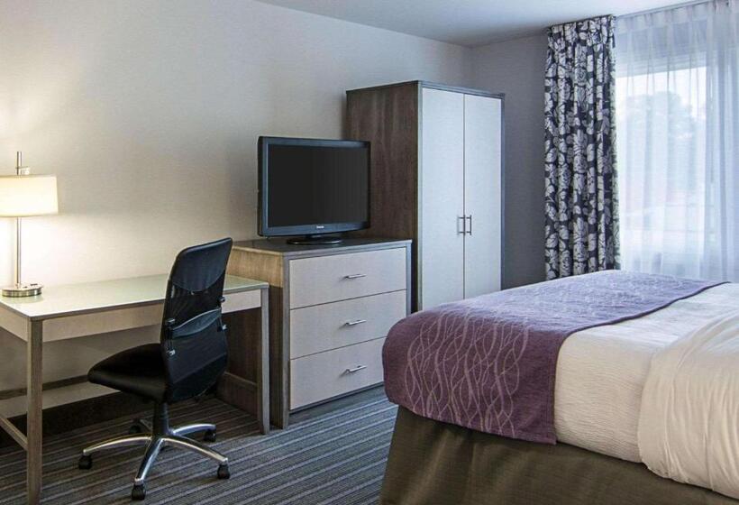 带大床的标准间, Comfort Inn Williamsburg Gateway