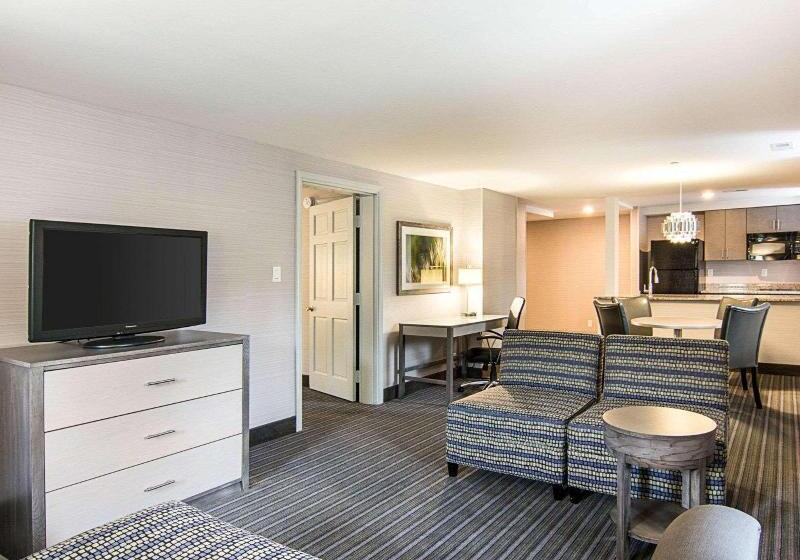 带大床的套房, Comfort Inn Williamsburg Gateway