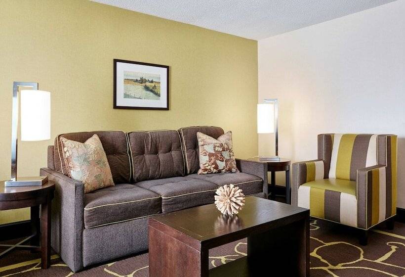 Номер Стандарт Адаптированный для Инвалидов, Doubletree By Hilton Charlotte Uptown