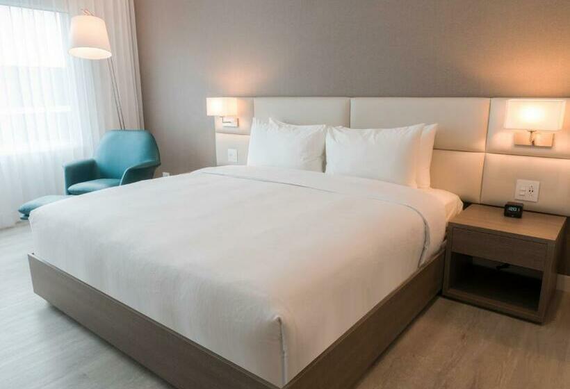 Стандартный Номер Кровать Кинг, Hilton Garden Inn Santa Ana San Jose