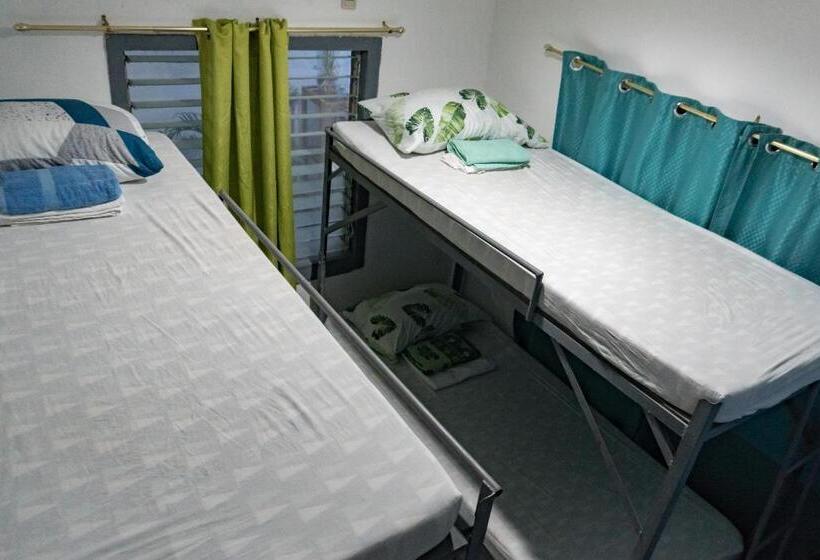 تختخواب در اتاق مشترک, Island Girl Bed And Breakfast