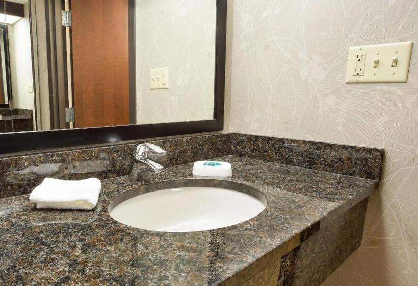 Номер Deluxe, Drury Inn & Suites Greensboro