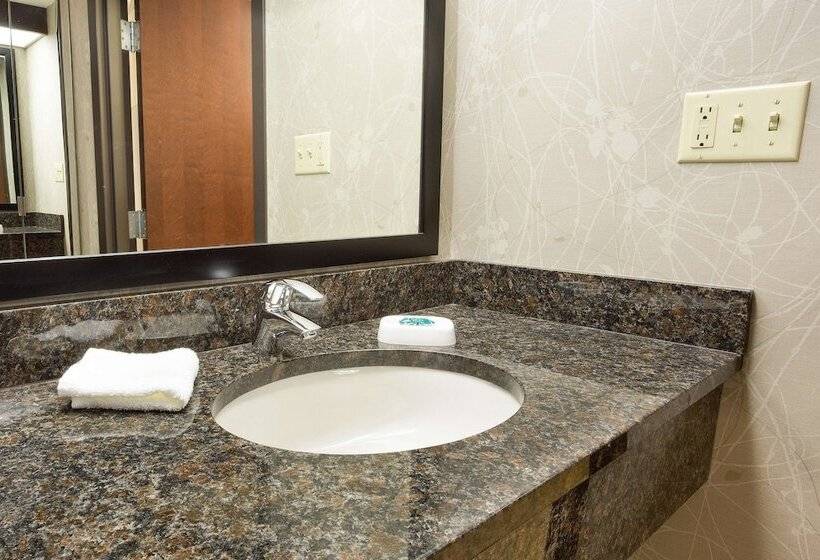 Номер Deluxe Адаптированный для Инвалидов, Drury Inn & Suites Greensboro