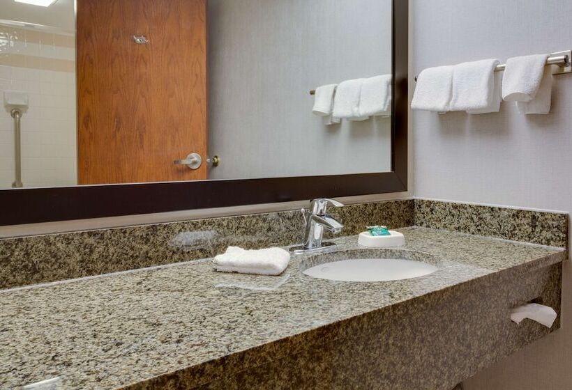 Suite, Drury Plaza Hotel San Antonio Airport