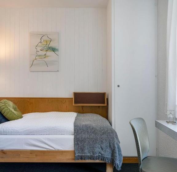 标准单人间, Hôtel Historique Chez Elsy   Crans Sapins