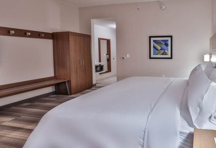 套房, Holiday Inn Express & Suites   Nashville Metrocenter Downtown, An Ihg