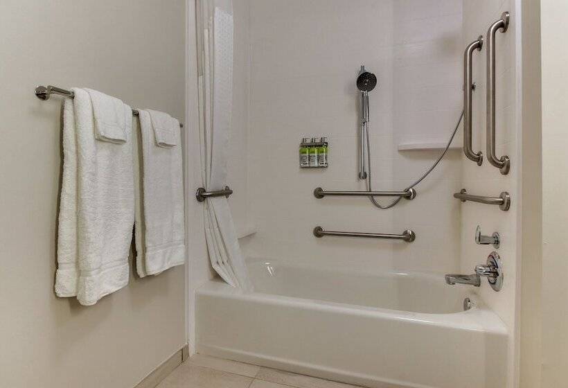 适合残疾人士使用的套间, Holiday Inn Express & Suites   Nashville Metrocenter Downtown, An Ihg