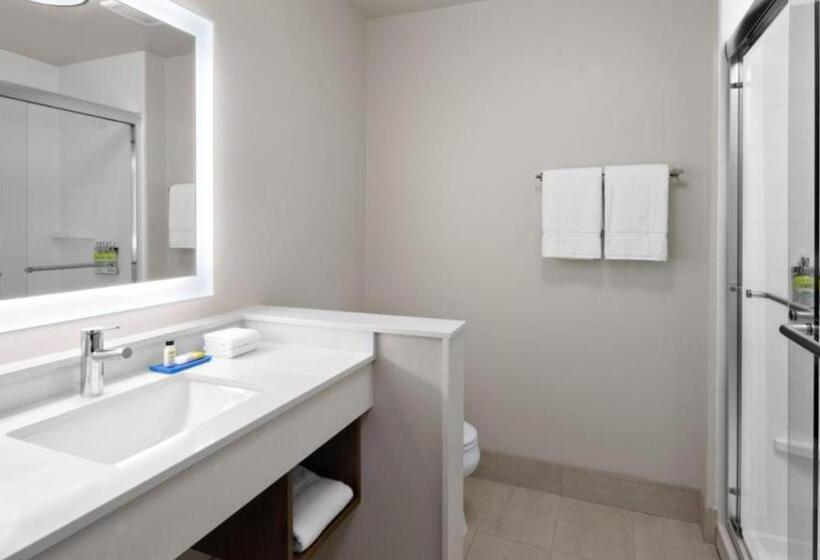 חדר סטנדרט עם מיטת קינג, Holiday Inn Express & Suites   Nashville Metrocenter Downtown, An Ihg