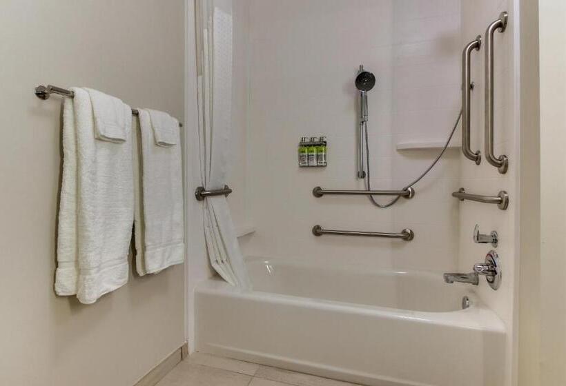 חדר סטנדרט מותאם לאדם עם מוגבלויות, Holiday Inn Express & Suites   Nashville Metrocenter Downtown, An Ihg