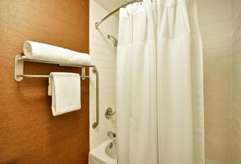 キングサイズベッドのスタンダードルーム, Fairfield Inn & Suites Dallas Medical/market Center