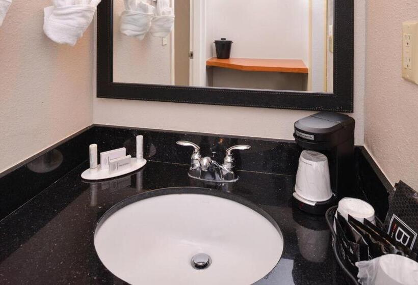 스탠다드 룸 킹사이즈 침대, Fairfield Inn & Suites Hattiesburg / University
