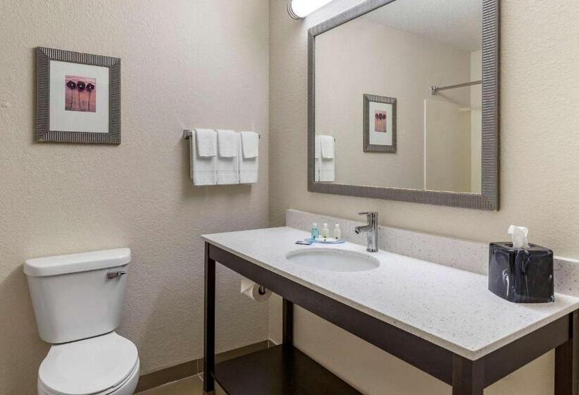Стандартный Номер Кровать Кинг, Quality Inn & Suites
