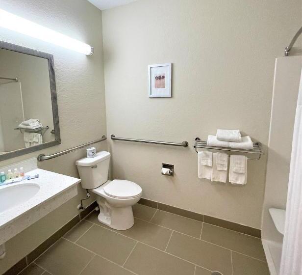 Номер Стандарт Кровать Кинг Адаптированный для Инвалидов, Quality Inn & Suites