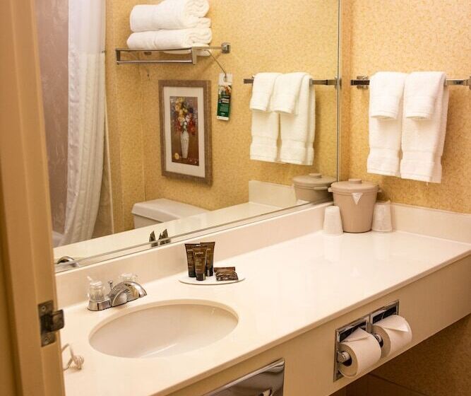 Номер бизнес-класса, Wingate By Wyndham Sioux City