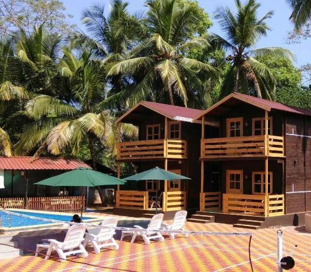 Standard-huone, Lazy Frog Guest House