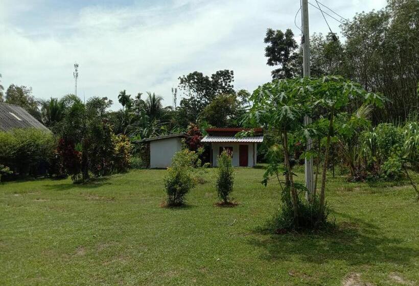 Standard Room, Cha Bungalow