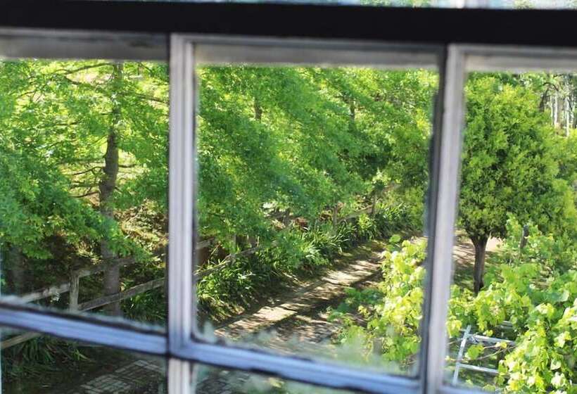 Номер Классика Двуспальная Кровать, Moffid's Place
