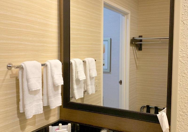Стандартный Номер Кровать Кинг, Fairfield Inn & Suites By Marriott Denver Tech Center/ South